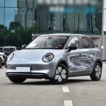 Bingo Pro 2026 Edition 330km Premium Version Electric · 330KM Range