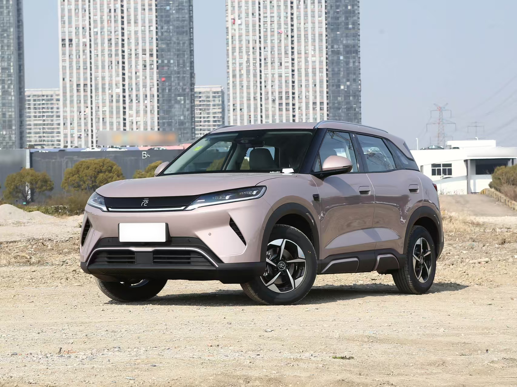 27(1) BYD Yuan UP 2025 Model 301KM Pioneer Edition - 图片 1