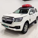 Dongfeng Palasso 2021