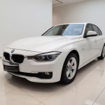 BMW 3 Series 2016 316Li Fashion Model