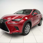 Lexus NX 2020 200 Front-Wheel Drive Style Edition, National VI