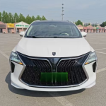Dongfeng Fengxing Fengxing Yacht 2024 Model A