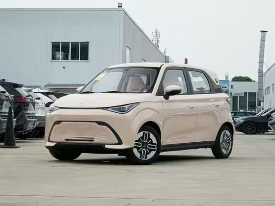 图片49(1) Chery New Energy - Domi 2025 Model 305km Comfort Edition - 图片 1