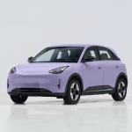 Xingyuan 2026 Model 310km Aspiration Edition