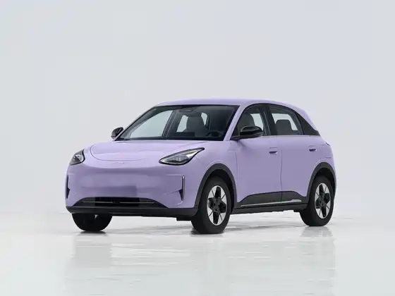 图片63(1) Xingyuan 2026 Model 310km Aspiration Edition - 图片 1