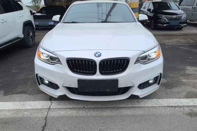 宝马2系(进口) 2019 BMW 2 Series (Imported) 2019 - 图片 1