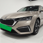 Volkswagen Škoda Octavia 2021 model